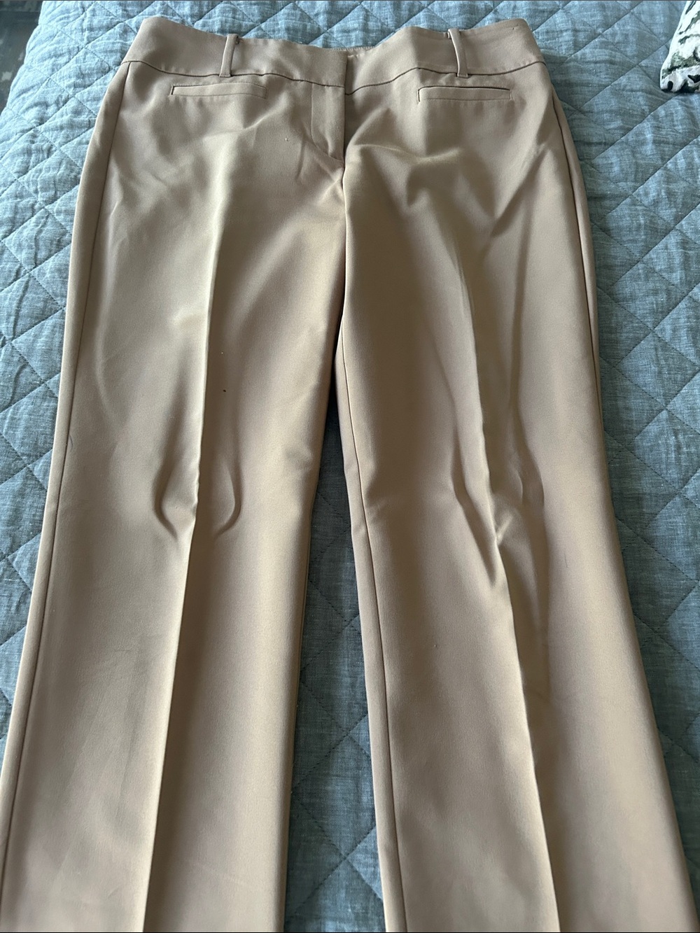 Ann Taylor Factory Signature Dress Pants in Camel Tan